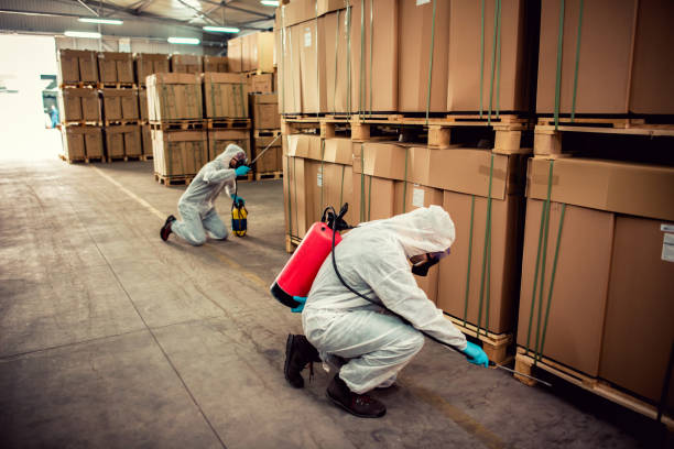 Best Cockroach Control Services  in Hertford, NC