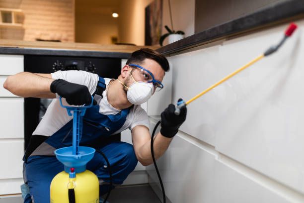 Best Affordable Pest Control Services  in Hertford, NC