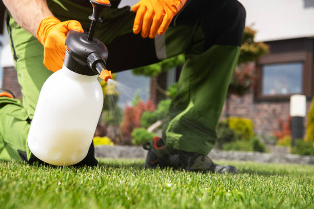 Best Ant Control Services  in Hertford, NC