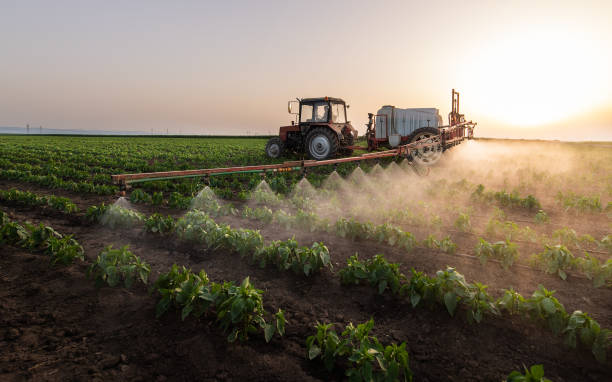 Pest Prevention Services in Hertford, NC