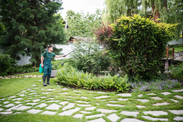 Best Residential Pest Control  in Hertford, NC