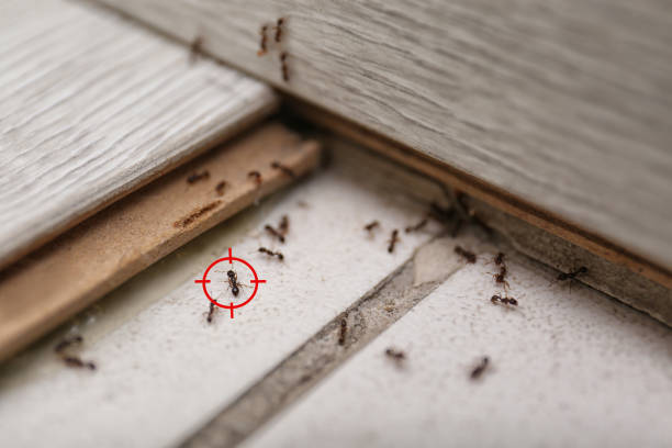 Best Wildlife Control Services  in Hertford, NC