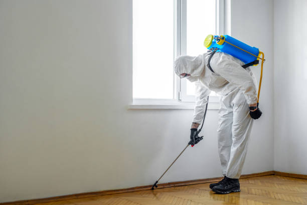 Best Bed Bug Extermination  in Hertford, NC