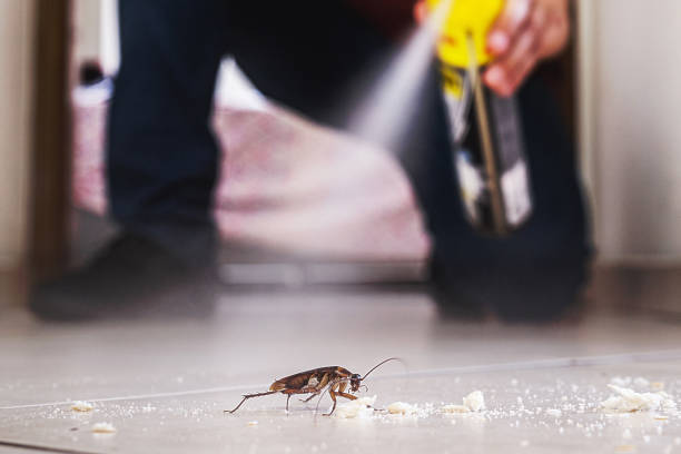 Best Best Pest Control Companies  in Hertford, NC