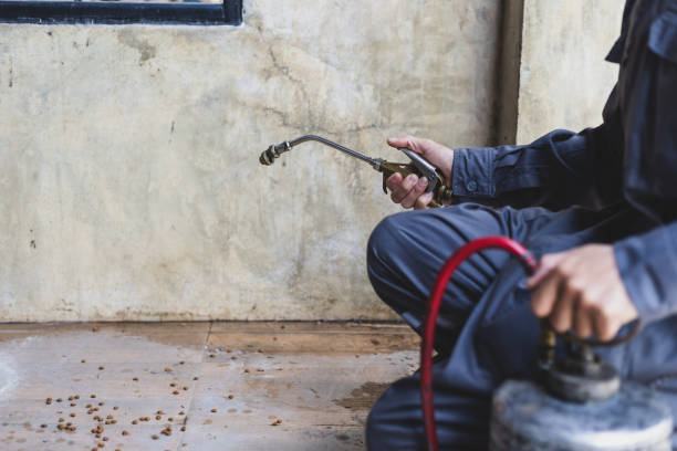 Best Rat Extermination Near Me  in Hertford, NC